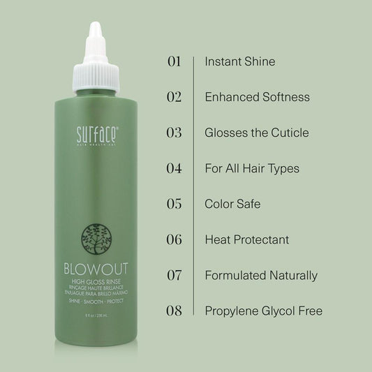 Blowout High Gloss Rinse